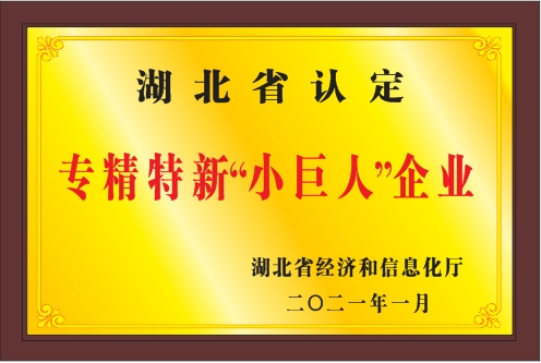 湖北省專精特新小巨人企業(yè)