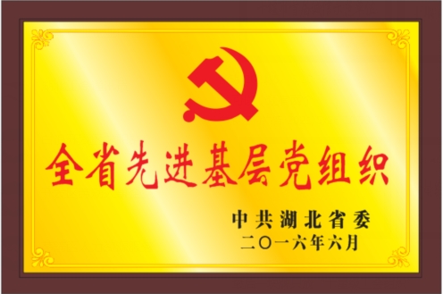 湖北省先進(jìn)基層黨組織