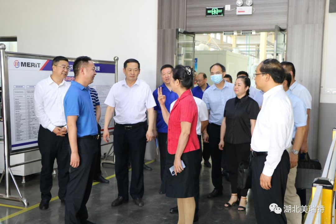 湖北省直單位領(lǐng)導(dǎo)調(diào)研美瑞特公司